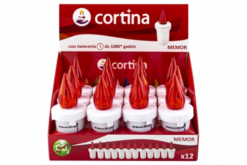 Art. Nr: WKŁAD LED 90 DNI 1/21/WLC-DIS DISPLAY CZERWONY